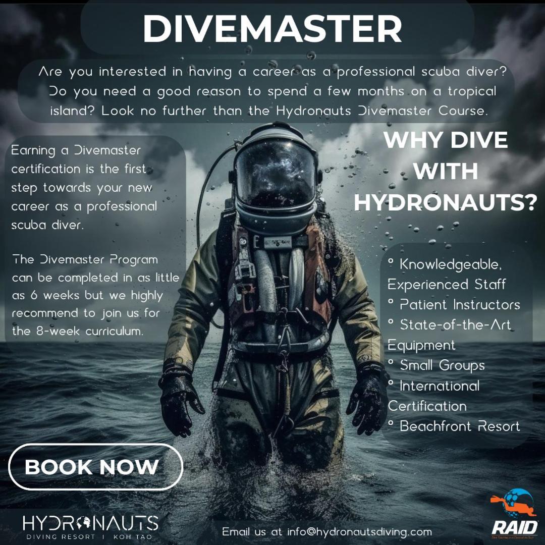 Hydronauts Diving - מלון קו טאו